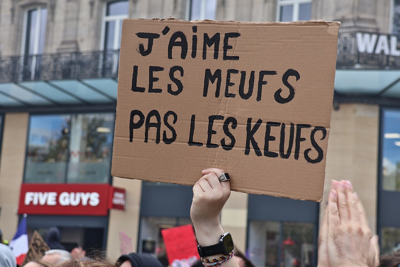 Handmade sign at a Paris demonstration on 17 October 2026
